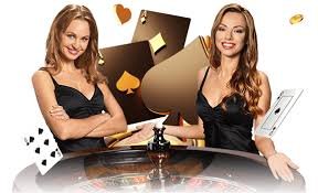 245bet